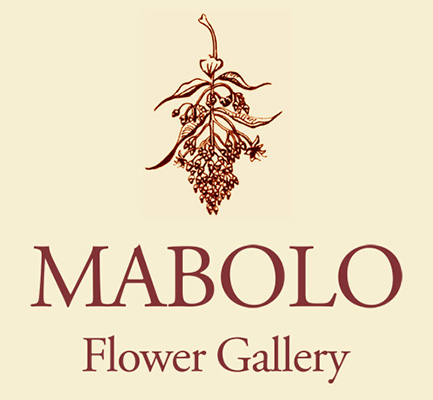 Mabolo Flower Shop - Identity